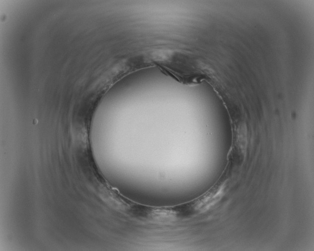 X0000064040617200601301150