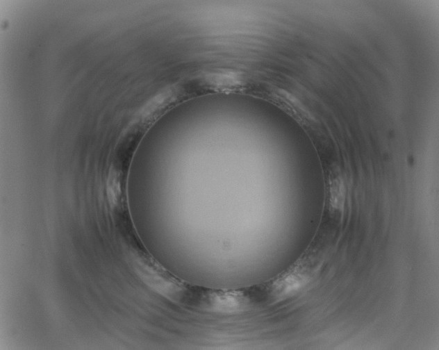 X0000064040618200601301150