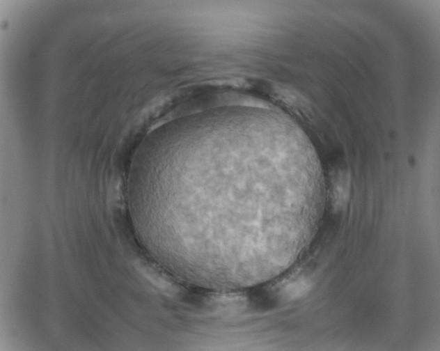 X0000064040619200601301150