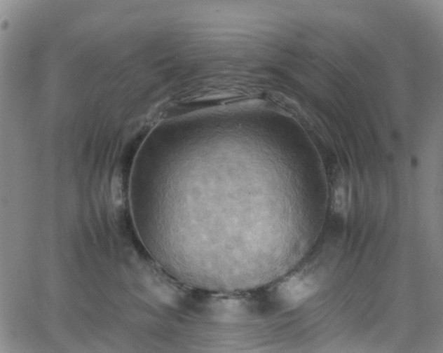 X0000064040620200601301150