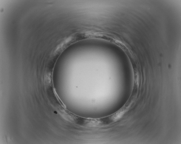 X0000064040621200601301150