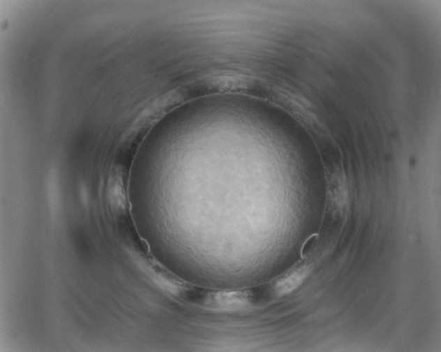 X0000064040622200601301150