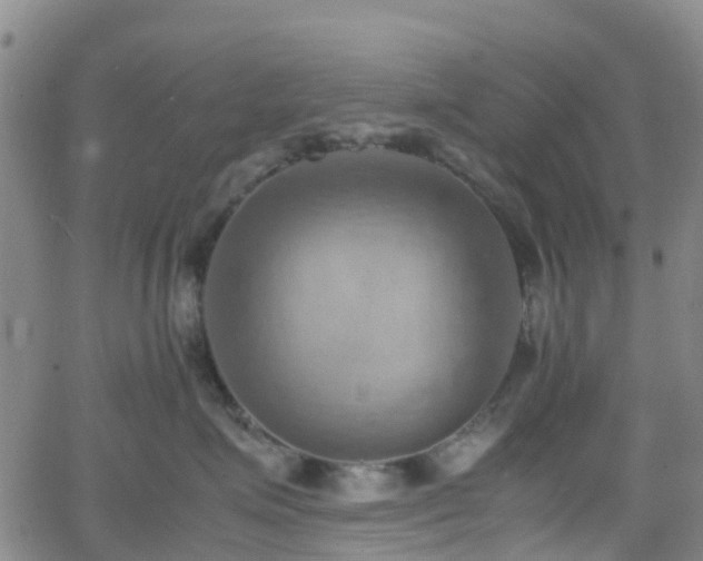 X0000064040623200601301150