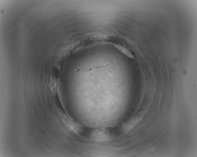 X0000064040624200601301150