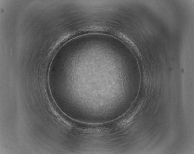 X0000064040625200601301149