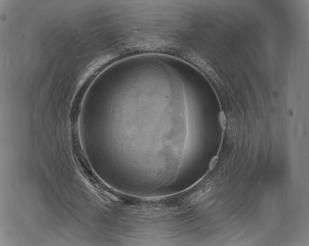 X0000064040626200601301149