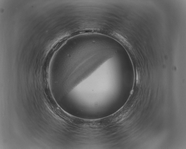 X0000064040627200601301149