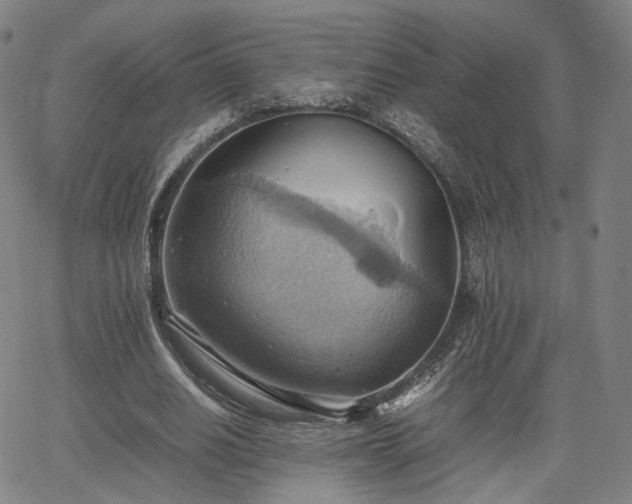 X0000064040630200601301149