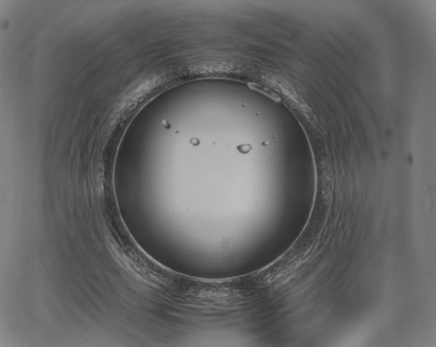 X0000064040631200601301149