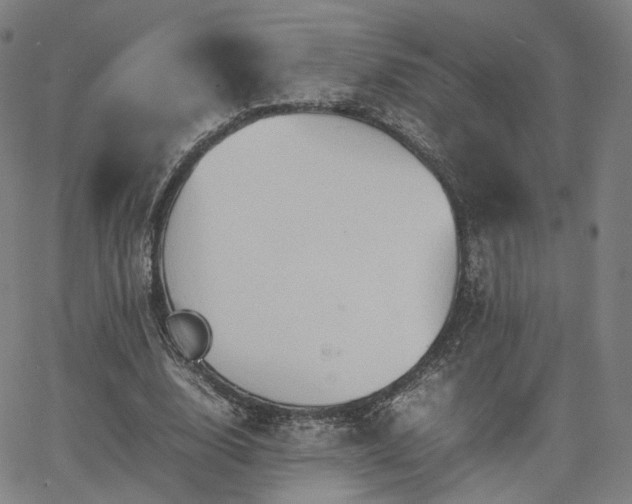 X0000064040632200601301149