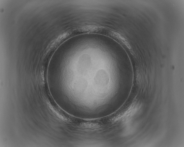 X0000064040633200601301149