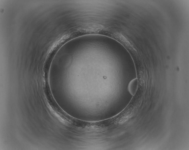 X0000064040634200601301149