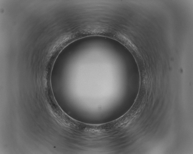 X0000064040635200601301149