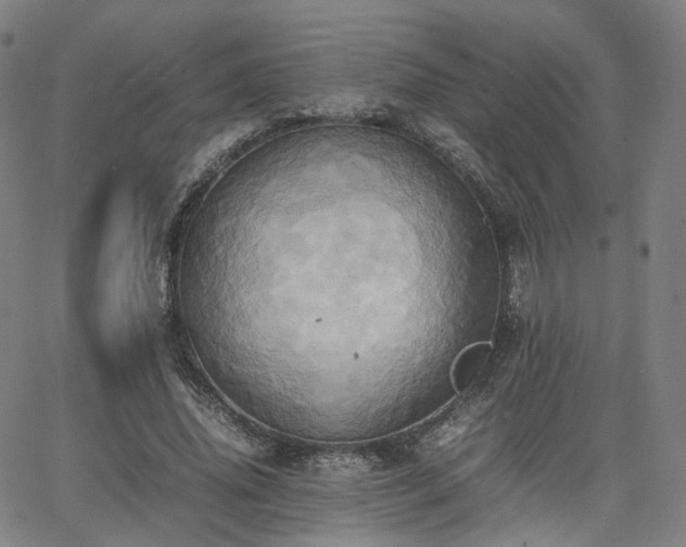 X0000064040636200601301149