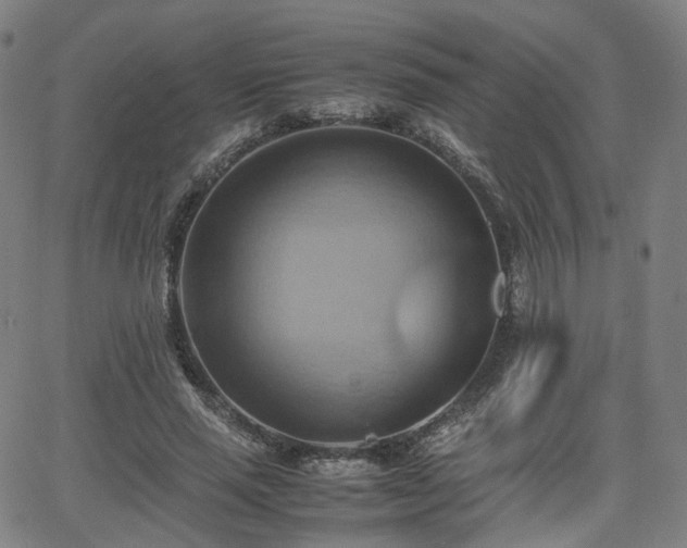 X0000064040637200601301149