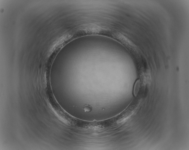 X0000064040638200601301149