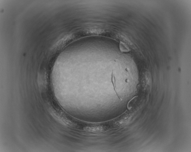 X0000064040639200601301149