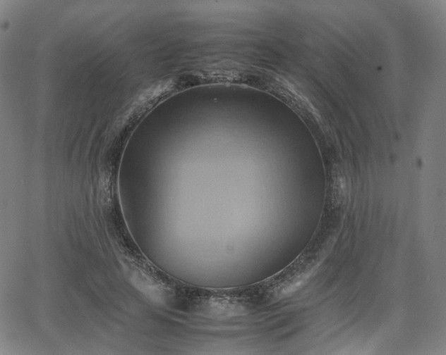 X0000064040641200601301149