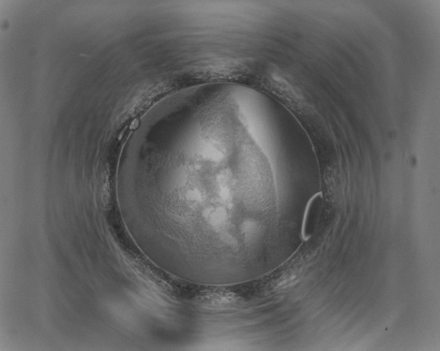 X0000064040642200601301149