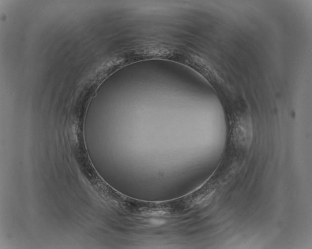 X0000064040643200601301149