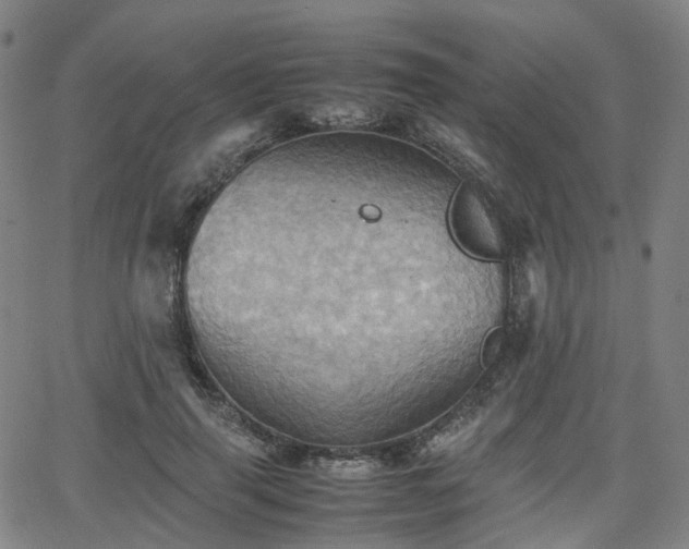 X0000064040645200601301149