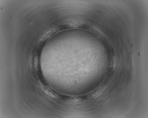 X0000064040646200601301149