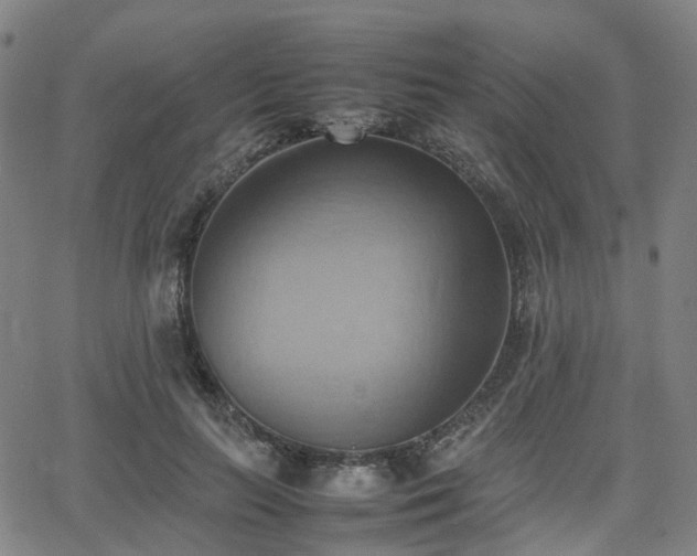 X0000064040647200601301149