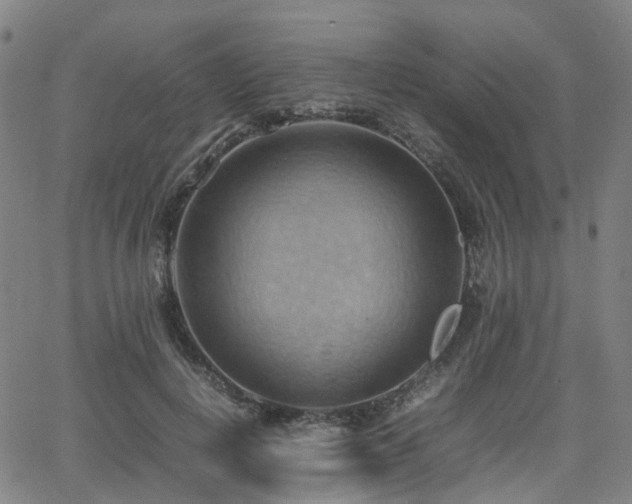 X0000064040648200601301150