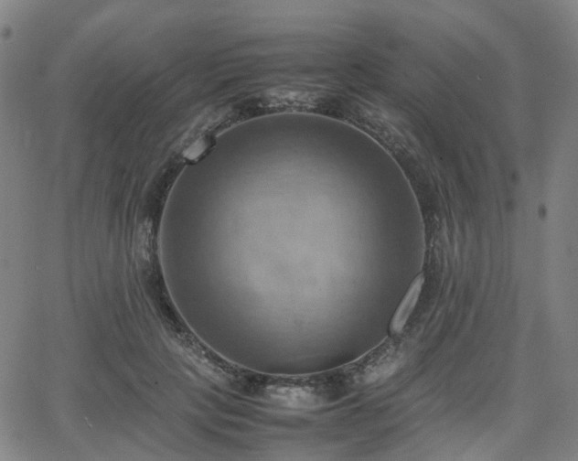 X0000064040649200601301150