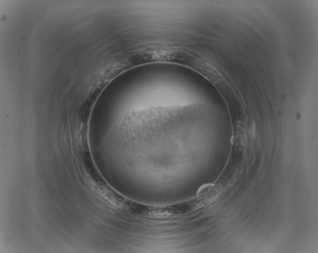 X0000064040650200601301150