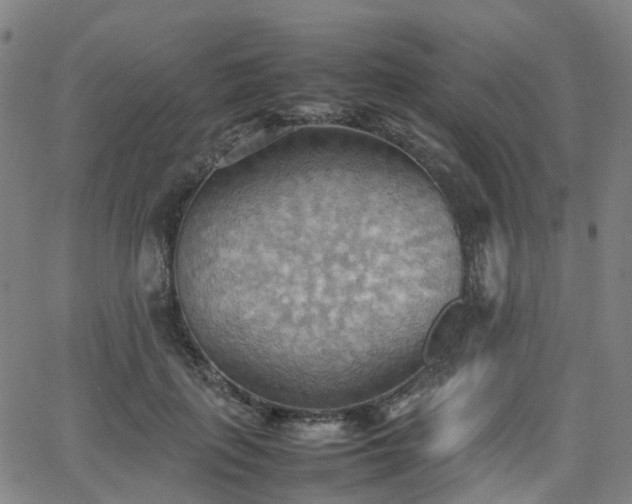 X0000064040651200601301150