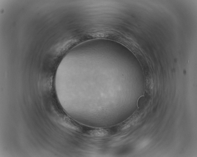 X0000064040652200601301150