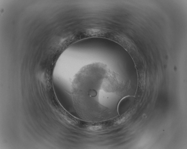 X0000064040653200601301150