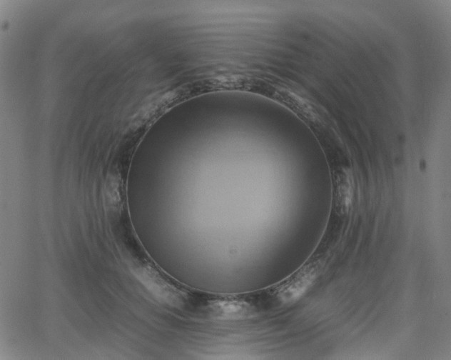 X0000064040654200601301150