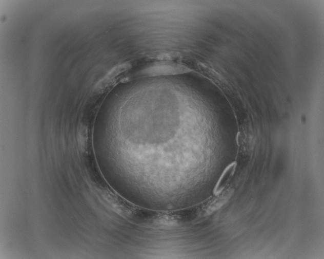 X0000064040656200601301150