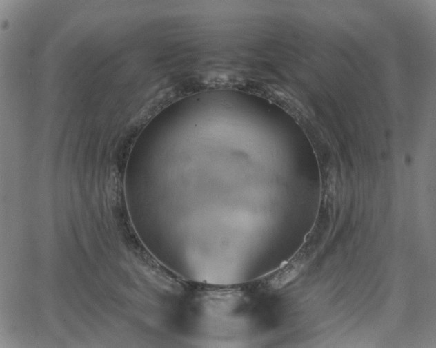 X0000064040659200601301150