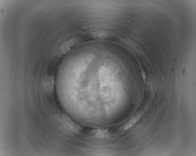 X0000064040660200601301150