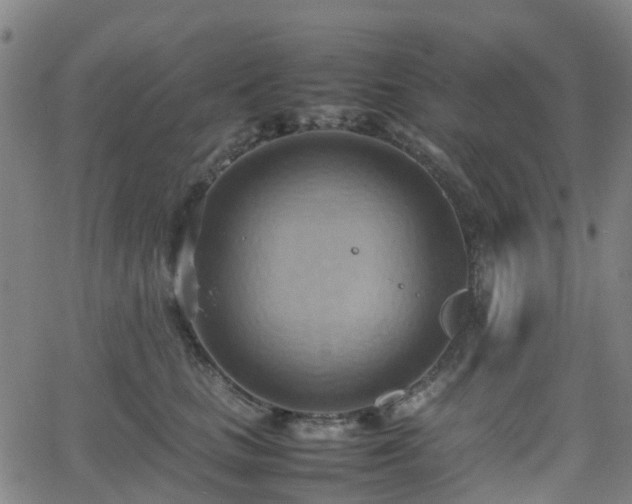 X0000064040661200601301150