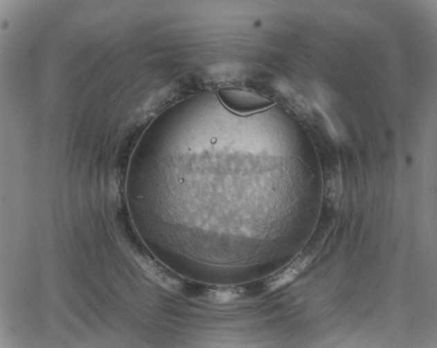 X0000064040662200601301150