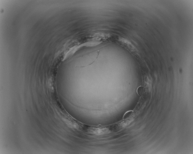 X0000064040663200601301150