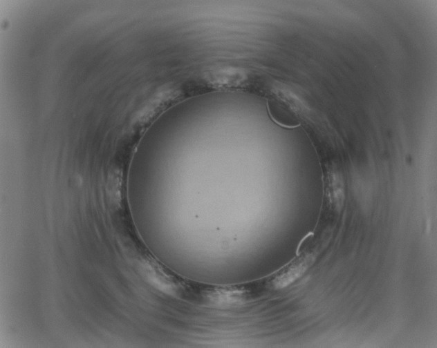 X0000064040664200601301150