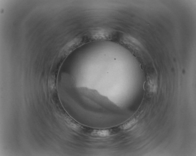 X0000064040665200601301150