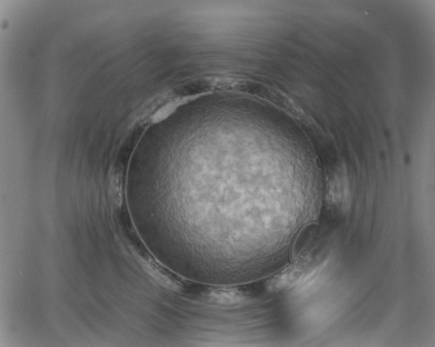 X0000064040666200601301150