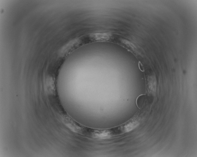 X0000064040667200601301150