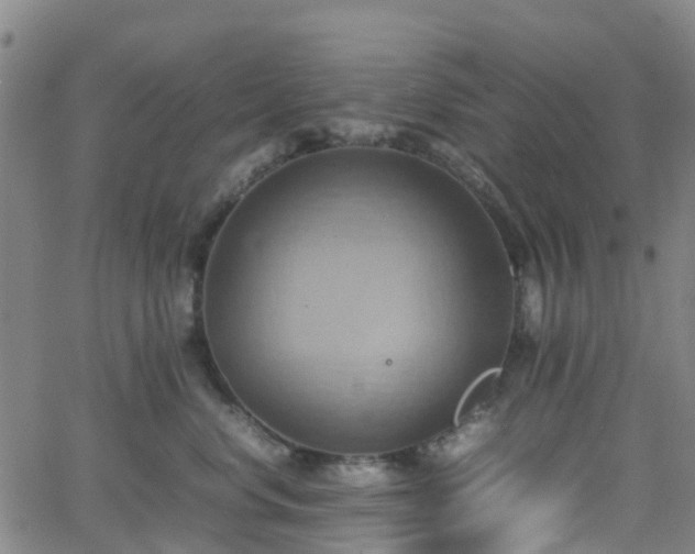 X0000064040668200601301150