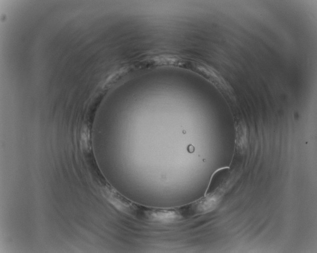 X0000064040669200601301150