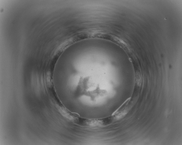 X0000064040670200601301150