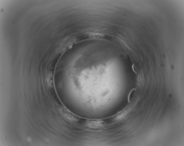 X0000064040671200601301150