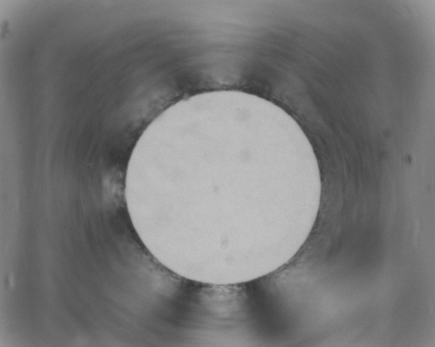 X0000064040672200601301150