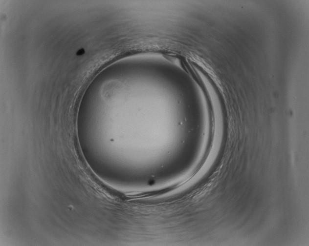 X0000064040673200601301149